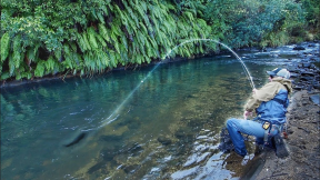 Fly Fishing one of the Best Rivers in the World! (part 1)