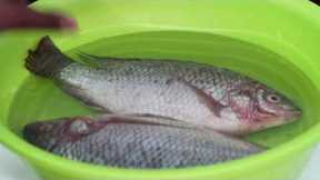 How to properly clean,prepare and cook fresh Tilapia fish- essie cooks