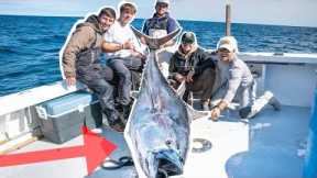 Catching WORLDS Most EXPENSIVE Fish!! (Catch and Sell 400 POUND Blue Fin TUNA)