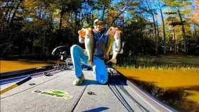 Fishing EXTREMELY MUDDY WATER After a HUGE COLD FRONT // Lake Chesdin Bass Fishing