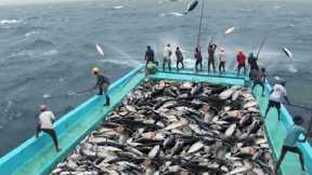 Fastest Tuna Fishing skills-  Fishing  Boat Techniques in Ocean - Amazing Tuna Fish catching Skills