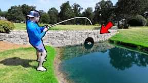 This TINY POND is filled with TROPHY BASS! (Public Pond Bass Fishing)