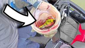 EXPENSIVE Pre Spawn FISHING LURE SHOWS OFF ~ LAKE CHICKAMAUGA