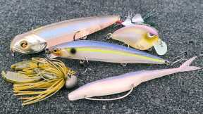 Top 5 Baits For September Bass Fishing!