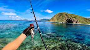 Fishing Topwater for Giant Fish