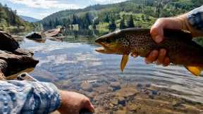 Destination Unknown Exploring New Water (Fly Fishing for Brown Trout)