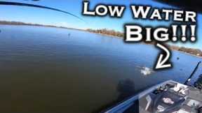 Lake Fork Winter Bass Fishing Tips: Complete Guide To Low Water Conditions For Giant Bass!!!
