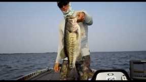 How to Catch Bass in Deep Water