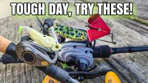 Summer Bass Fishing | BUZZ FROG & SWIM JIG
