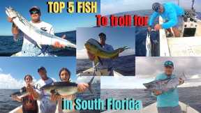 TOP 5 FISH to troll for in South Florida | How, when & where to catch them