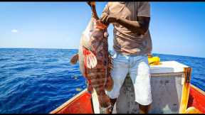 GIANT GROUPER DEEP SEA FISHING | CATCH, COOK & SELL