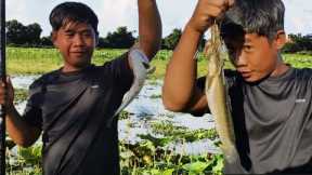 Hook Fishing Video | Man Fishing In The Lake  1
