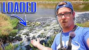 I FEEL STUPID For Not Fishing Here SOONER!!! (Water Treatment Plant)