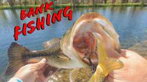 Awesome Bank Fishing With 3 Tips To Catch More Bass While Pond Fishing
