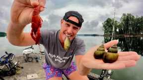 2 Days Foraging for Bait to Catch my Food! (Catch Cook Camp)