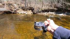 5 Fly Fishing Hacks for Beginners