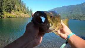 Smallmouth Bass Fishing On Cultus Lake, BC BIGGEST FISH I HAVE SEEN