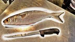 MULLET Catch And Cook! Does The Most Popular Bait Fish Taste Good?!?!