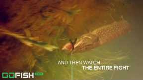 GoFish Cam - The Most Popular Wireless Underwater Fishing Camera