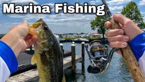 Lake Minnetonka Marina Bass Fishing- Jigs & Senkos