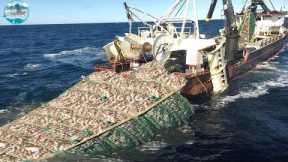 Biggest fishing boat, catch tons of fish in the sea with big net, fish processing on board