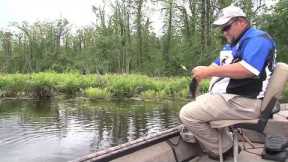 Fishing Reelfoot Lake