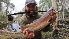 24 Hours Eating Only What I Catch w/ a Fly Rod