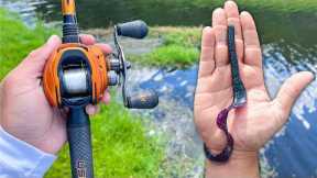 SUMMER BASS Fishing with BIG Worms!