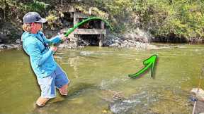 EVERYTHING Was Living Beneath These RAGING RAPIDS!!! (Unexpected BITE)