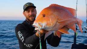Amazing Day Out Jigging