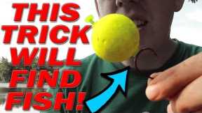 BANK FISHING Trick to finding fish!!!  Catch more fish from shore: catfish, bass, carp