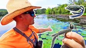 Frogging and Punching On Lake Guntersville! Bass Fishing In The Summer!