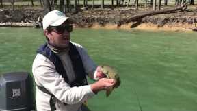 Spring Fishing for Smallmouth Bass at Lake Moomaw