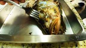 STUNG by a POISONOUS FISH so I EAT ITS EYEBALLS 👀 | Fish Wrapped in Banana Leaves | Catch Clean Cook