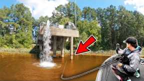 Fishing ONLY Glide Baits CRUSHING Fall Fish!