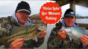 Weiss Lake Live Minnow Fishing