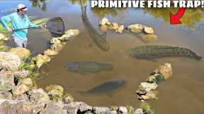 I Built a MASSIVE PRIMITIVE FISH TRAP!