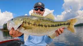How To Catch Bass Open Water Bass! (When Other's Are Giving Up)
