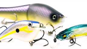 Top 5 Baits For October Bass Fishing!