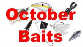 Bass Fishing Baits for October - Fall Transition