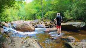 Eating Whatever I Catch from this Mountain Stream!