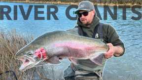 Fly Fishing Giant Trout on One of Kind River!