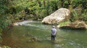 Incredible Fly Fishing for BIG Rainbow Trout in a Stunning River!!