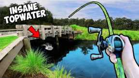 1v1 Crazy Lures ONLY Bass Fishing Tournament (INSANE)