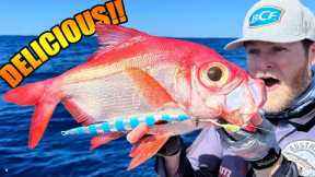 Tastiest fish I've EVER eaten caught jigging in 450m (1470ft)!! Catch, clean, cook, compare