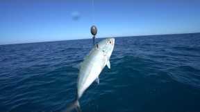 Deep Sea Fishing For Giant Mystery Fish
