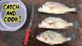 Catching and Cooking a TRASH Fish?!?!?!? Interesting Results!