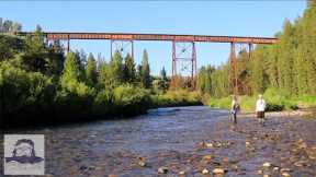 my favorite streams | hay fields vs. pine forests | Fly Fishing Idaho