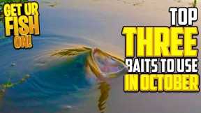 THREE Bass Fishing Baits to use in October - Beginner Fishing Tips