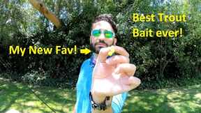 Big Bear Lake Fishing MADE EASY! The BEST New Setup For Catching Trout! Catch & Cook Rainbow Trout